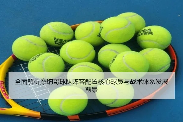 全面解析摩纳哥球队阵容配置核心球员与战术体系发展前景